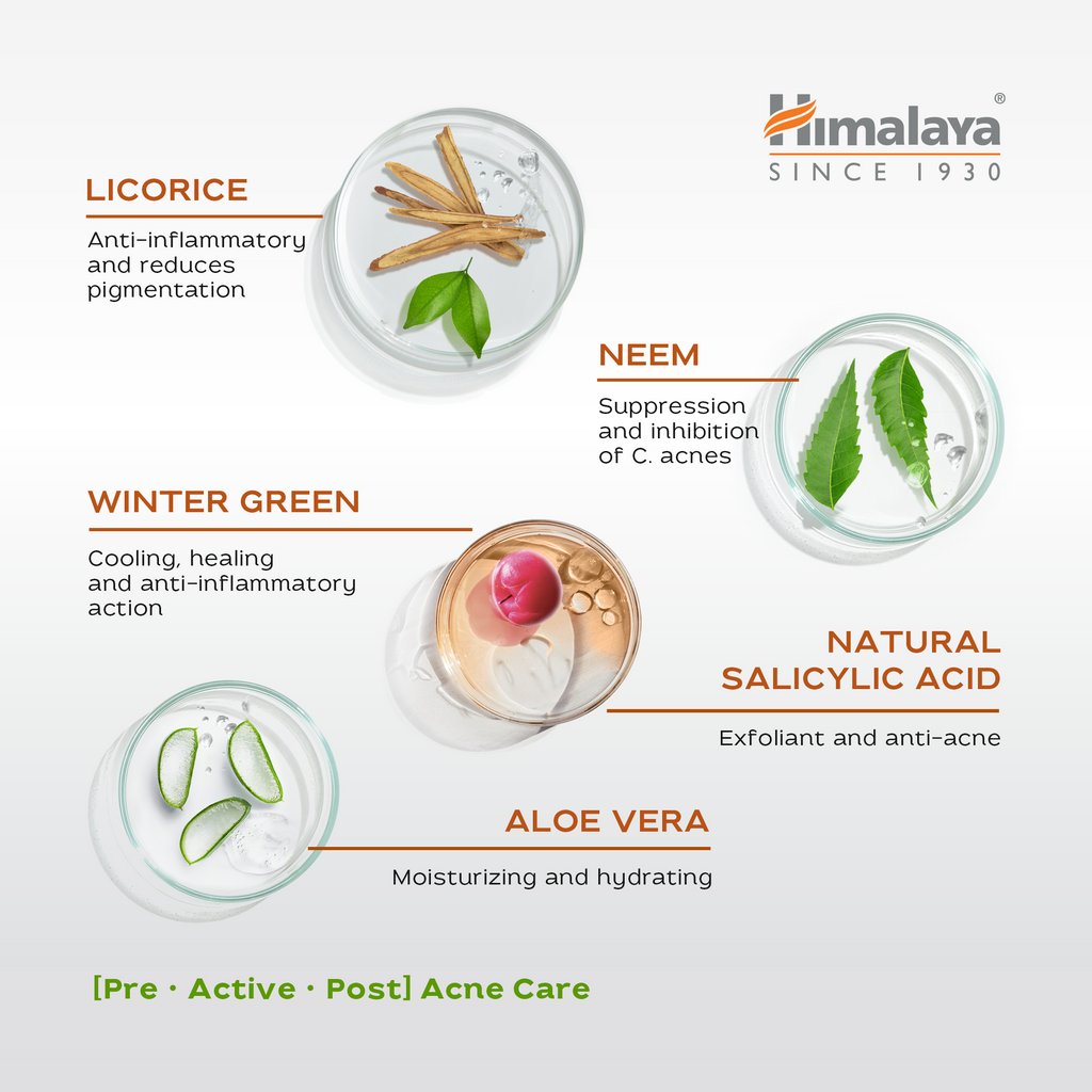 Himalaya Acne Clear+ Moisturizing Gel-3