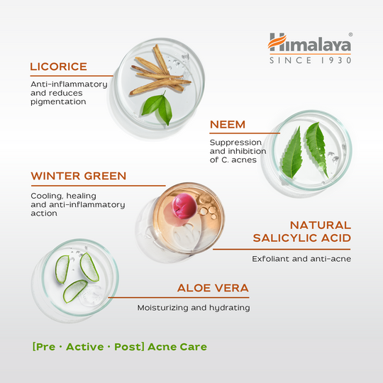 Himalaya Acne Clear+ Moisturizing Gel-3