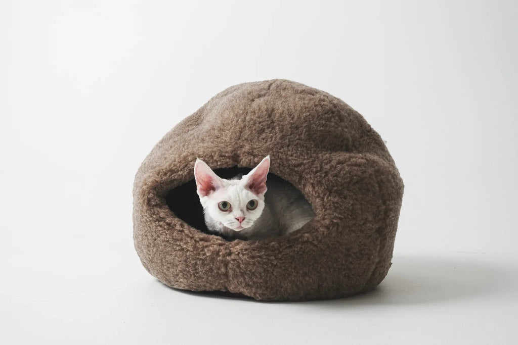 Nest Natural Woolen Pet Bed - Beige-1